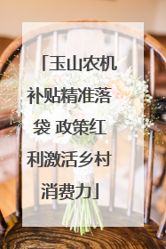 玉山农机补贴精准落袋 政策红利激活乡村消费力