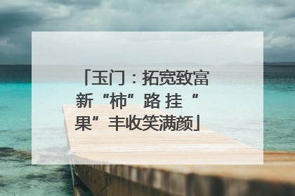 玉门：拓宽致富新“柿”路 挂“果”丰收笑满颜