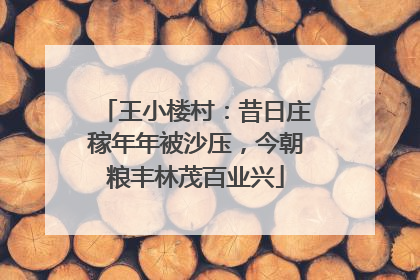 王小楼村：昔日庄稼年年被沙压，今朝粮丰林茂百业兴