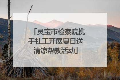 灵宝市检察院携手社工开展夏日送清凉帮教活动