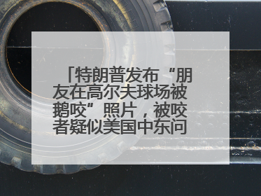 特朗普发布“朋友在高尔夫球场被鹅咬”照片，被咬者疑似美国中东问题特使
