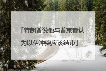 特朗普说他与普京都认为以伊冲突应该结束