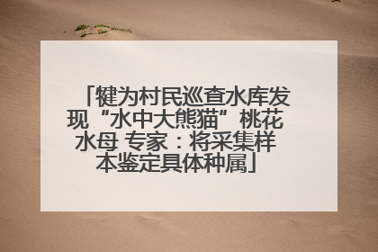 犍为村民巡查水库发现“水中大熊猫”桃花水母 专家：将采集样本鉴定具体种属