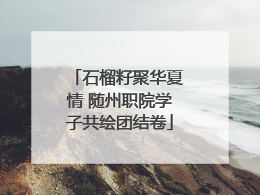 石榴籽聚华夏情 随州职院学子共绘团结卷