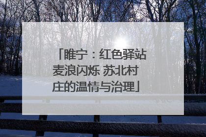 睢宁：红色驿站麦浪闪烁 苏北村庄的温情与治理