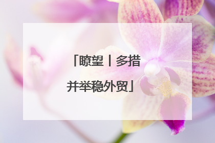 瞭望丨多措并举稳外贸