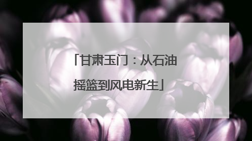 甘肃玉门：从石油摇篮到风电新生