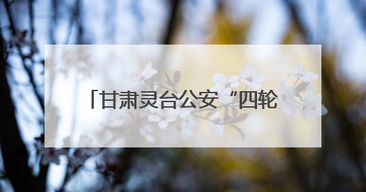 甘肃灵台公安“四轮驱动”砺精兵 战训融合筑牢平安基石