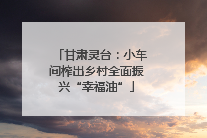 甘肃灵台：小车间榨出乡村全面振兴“幸福油”