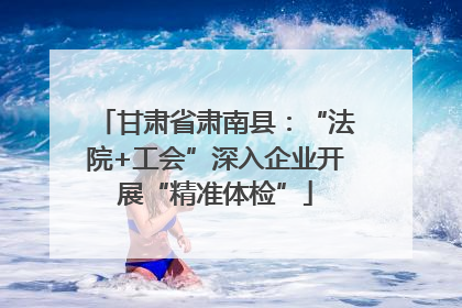 甘肃省肃南县：“法院+工会”深入企业开展“精准体检”