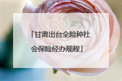 甘肃出台全险种社会保险经办规程
