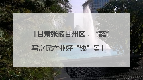 甘肃张掖甘州区：“蔬”写富民产业好“钱”景