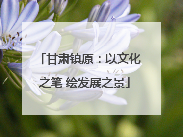 甘肃镇原：以文化之笔 绘发展之景