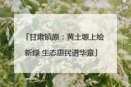 甘肃镇原：黄土塬上绘新绿 生态惠民谱华章