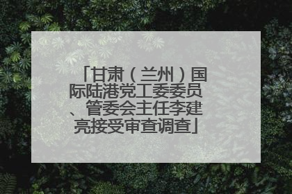 甘肃（兰州）国际陆港党工委委员、管委会主任李建亮接受审查调查