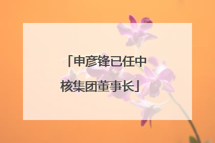 申彦锋已任中核集团董事长