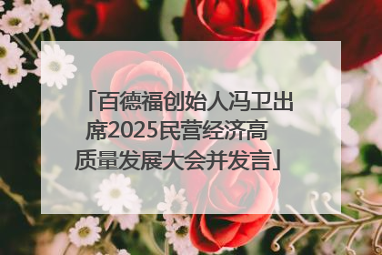 百德福创始人冯卫出席2025民营经济高质量发展大会并发言
