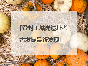 登封王城岗遗址考古发掘最新发现