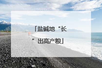 盐碱地“长”出高产粮