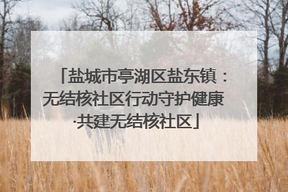 盐城市亭湖区盐东镇：无结核社区行动守护健康 ·共建无结核社区