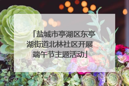 盐城市亭湖区东亭湖街道北林社区开展端午节主题活动