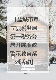 盐城市阜宁县税务局第一税务分局开展廉政警示教育系列活动