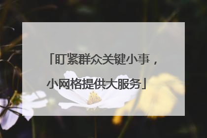盯紧群众关键小事，小网格提供大服务