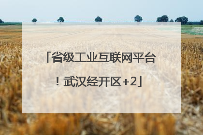 省级工业互联网平台！武汉经开区+2