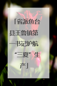 省派鱼台县王鲁镇第一书记护航“三夏”生产