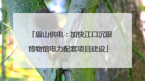 眉山供电：加快江口沉银博物馆电力配套项目建设