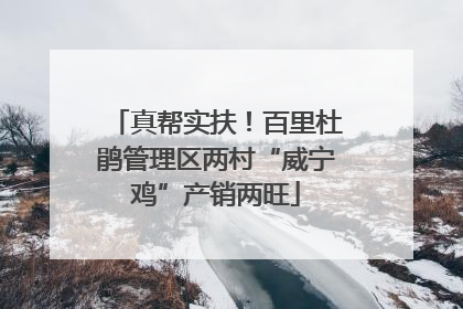 真帮实扶！百里杜鹃管理区两村“威宁鸡”产销两旺