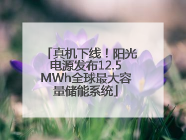 真机下线！阳光电源发布12.5MWh全球最大容量储能系统