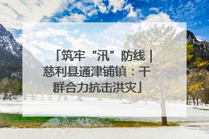 筑牢“汛”防线｜慈利县通津铺镇：干群合力抗击洪灾