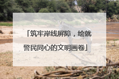筑牢岸线屏障，绘就警民同心的文明画卷
