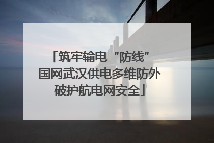 筑牢输电“防线” 国网武汉供电多维防外破护航电网安全