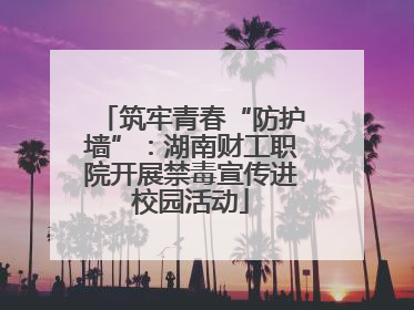 筑牢青春“防护墙”：湖南财工职院开展禁毒宣传进校园活动