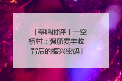 筝鸣时评丨一空桥村：强筋麦丰收背后的振兴密码