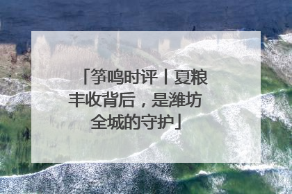 筝鸣时评丨夏粮丰收背后，是潍坊全城的守护