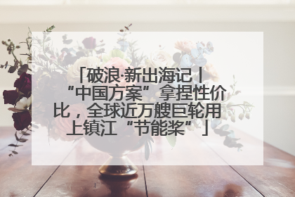 破浪·新出海记丨 “中国方案”拿捏性价比，全球近万艘巨轮用上镇江“节能桨”