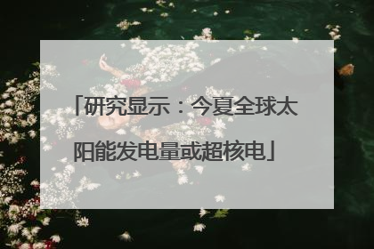 研究显示：今夏全球太阳能发电量或超核电