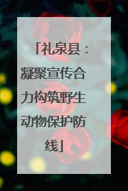 礼泉县：凝聚宣传合力构筑野生动物保护防线
