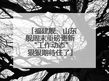 福建舰、山东舰周末重磅更新“工作动态” 狠狠期待住了