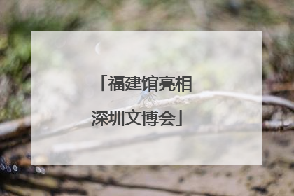 福建馆亮相深圳文博会
