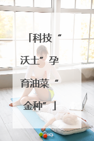 科技“沃土”孕育油菜“金种”