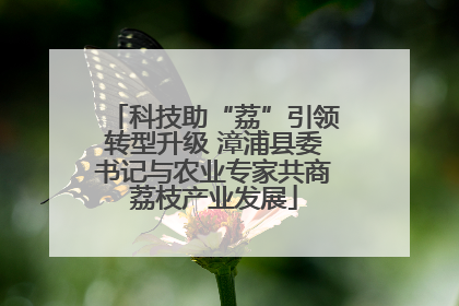 科技助“荔”引领转型升级 漳浦县委书记与农业专家共商荔枝产业发展