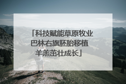 科技赋能草原牧业 巴林右旗胚胎移植羊羔茁壮成长
