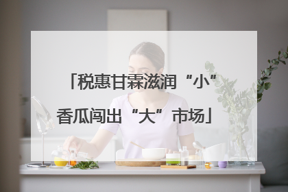 税惠甘霖滋润“小”香瓜闯出“大”市场