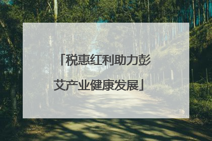 税惠红利助力彭艾产业健康发展