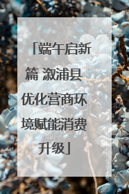 端午启新篇 溆浦县优化营商环境赋能消费升级