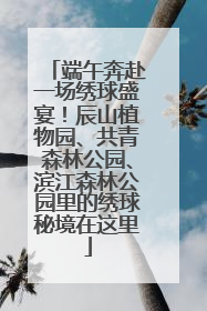 端午奔赴一场绣球盛宴！辰山植物园、共青森林公园、滨江森林公园里的绣球秘境在这里